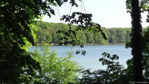 2015-05-13-schlachtensee-tage-vor-hundeverbot-001-klein