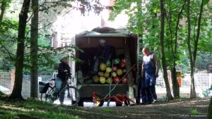 2015-05-13-schlachtensee-tage-vor-hundeverbot-004-klein
