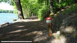 2015-05-13-schlachtensee-tage-vor-hundeverbot-011-klein