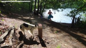 2015-05-13-schlachtensee-tage-vor-hundeverbot-020-klein