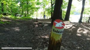 2015-05-13-schlachtensee-tage-vor-hundeverbot-029-klein