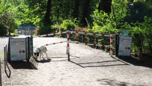2015-05-13-schlachtensee-tage-vor-hundeverbot-051-klein