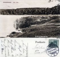 1914-schlachtensee-ostufer-klein