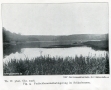 1906-schlachtensee-1907-der-grunewald-bei-berlin-dahl-klein
