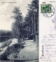 1909-schlachtensee-uferweg-klein