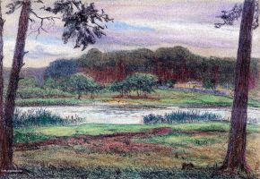 1909-08-12-adolph-doebbner-teufelssee-grunewald-farbwiederherstellung-klein