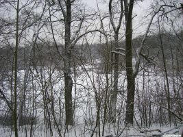 2009-12-30-teufelssee-09-klein