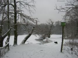 2009-12-30-teufelssee-14-klein