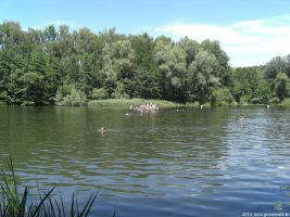 2010-cimg1582-klein