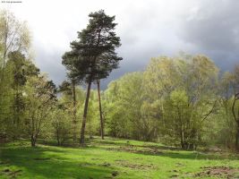 2014-04-14-dsc02070-teufelssee-klein