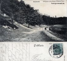 1914-havelufer-mit-grunewaldturm