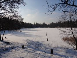 2012-02-03-halensee-26-klein
