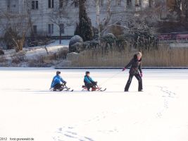 2012-02-03-halensee-46-klein