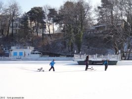 2012-02-03-halensee-52-klein