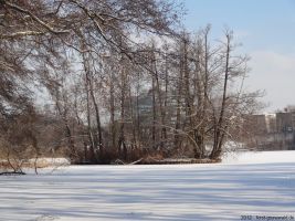 2012-02-03-halensee-61-klein