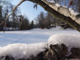 2012-02-03-halensee-65-klein