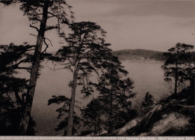 1930-wannsee-vennemann