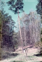 1978-ca-grunewald-vmtl-am-havelberg-klein