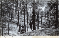 1905-grunewald-unbekannt-vllt-havelbergeklein