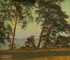 1910-grosse-fenster-verlag-fuer-farbenphotographie-carl-weller-klein
