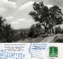 1958-09-28-linde-auf-dem-havelberg-klein