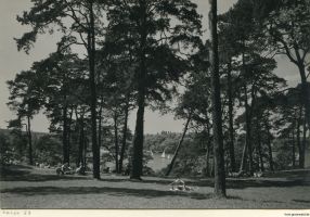 1963-havelhoehenweg-04-klein