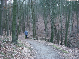 2006-12-17-cimg2112-klein