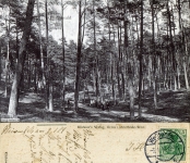 1914-01-03-grunewald-naehe-havelhoehenweg-lieper-bucht-klein