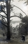 1925-chorfahrt-grunewald-dachsgrund-klein