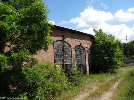 2012-06-17-003-hundekehle-klein
