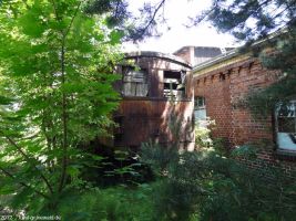 2012-06-17-004-hundekehle-klein