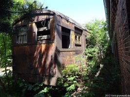 2012-06-17-005-hundekehle-klein
