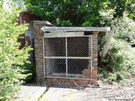 2012-06-17-025-hundekehle-klein