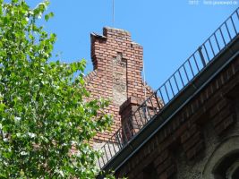 2012-06-17-028-hundekehle-klein