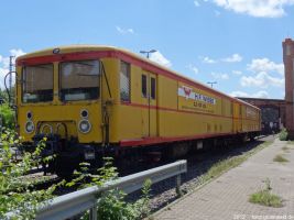 2012-06-17-041-hundekehle-klein
