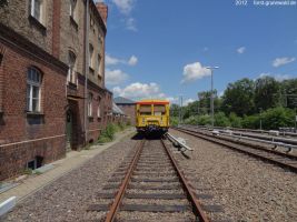 2012-06-17-049-hundekehle-klein