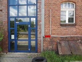 2012-06-17-061-hundekehle-klein