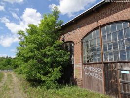 2012-06-17-091-hundekehle-klein