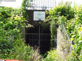 2012-06-17-224-hundekehle-klein
