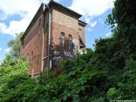 2012-06-17-239-hundekehle-klein