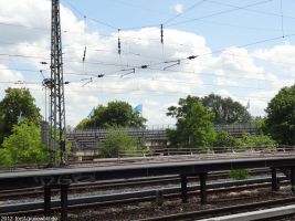 2012-06-17-242-hundekehle-klein