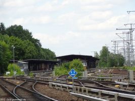 2012-06-17-244-hundekehle-klein
