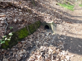 2014-04-02-jaczo-schlucht-177-klein