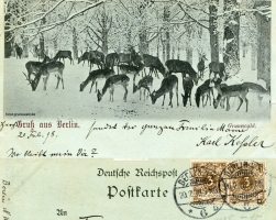 1898-02-20-rehe-im-wintergrunewald-klein