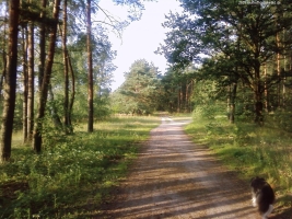 2009-08-06-p19-14-klein