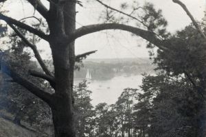 035 - Dachsberge Galerie 05: Karlsbergschlucht