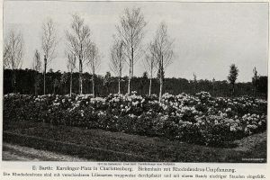 1913-die-gartenkunst-e-barth-karolingerplatz-005b-klein