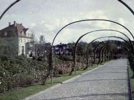 1918-ca-karolingerplatz-06-1600