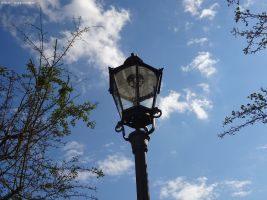 2017-08-20-dsc02450-klein