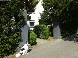 2018-05-10-dsc03587-klein
